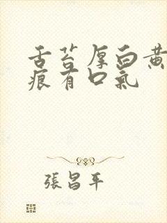 舌苔厚白黄有齿痕有口气