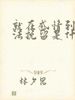 就在感情到了无法挽留是什么歌