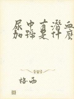 尿中有潜血2个加号是什么原因引起的?封面