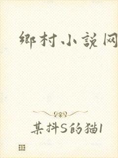 乡村小说网封面