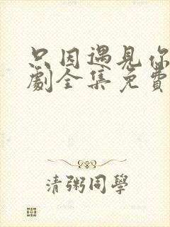 只因遇见你电视剧全集免费观看56