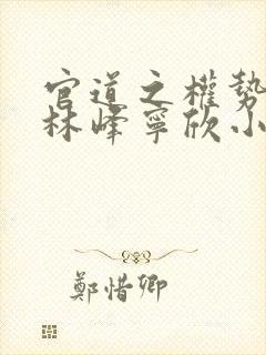 官道之权势滔天林峰宁欣小说免费阅读