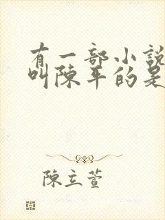 有一部小说主角叫陈平的是什么小说封面