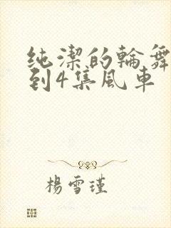 纯洁的轮舞曲1到4集风车