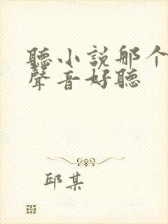 听小说那个软件声音好听封面