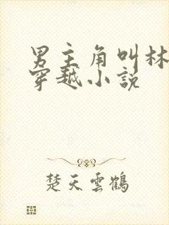 男主角叫林渊的穿越小说封面