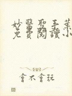 妙医圣手叶皓轩免费阅读小说封面