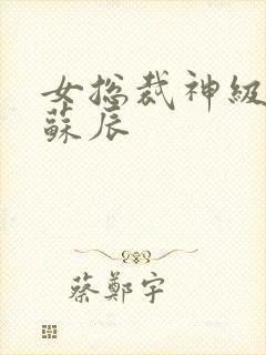 女总裁神级保镖苏辰封面