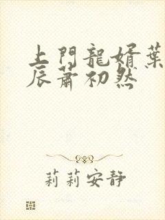 上门龙婿叶辰叶辰萧初然