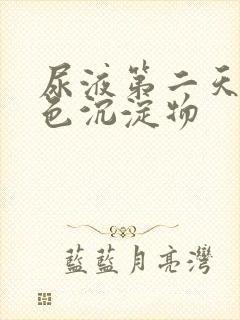 尿液第二天有白色沉淀物