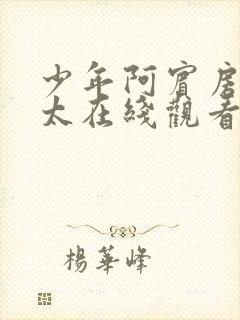 少年阿宾房东太太在线观看封面