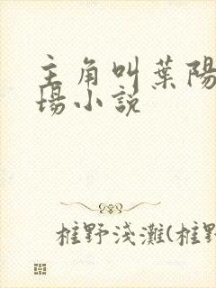 主角叫叶阳的官场小说