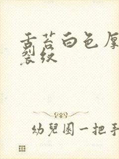 舌苔白色厚腻有裂纹封面