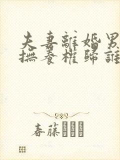 夫妻离婚男孩子抚养权归谁