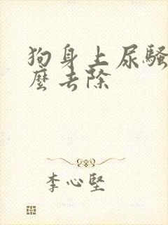 狗身上尿骚味怎么去除