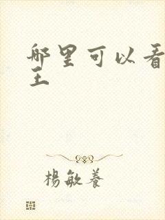 哪里可以看海贼王