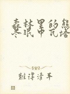 森林里的熊先生冬眠中瓦塔里封面