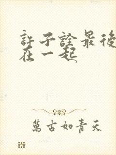 许子诠最后和谁在一起