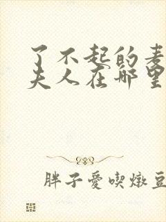 了不起的麦瑟尔夫人在哪里看封面