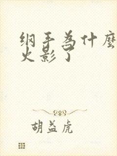 纲手为什么不当火影了