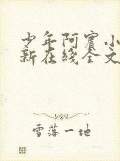 少年阿宾小说最新在线全文阅读