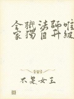 全职法师唯一玩家独自升级