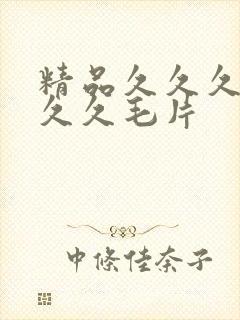 精品久久久久久久久毛片