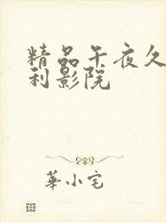 精品午夜久久福利影院