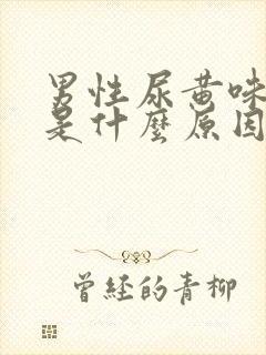 男性尿黄味道重是什么原因