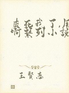 爽死我了,用力啊系列小说