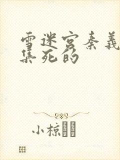 雪迷宫秦义第几集死的