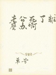 老公死了离婚怎么办啊封面