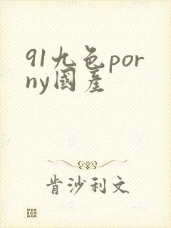 91九色porny国产