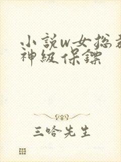 小说w女总裁的神级保镖