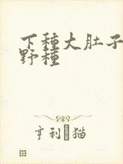 下种大肚子怀孕野种