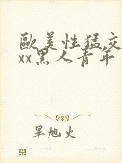 欧美性猛交xxxx黑人青年封面