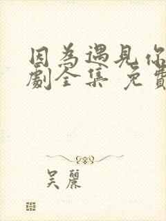 因为遇见你电视剧全集 免费封面