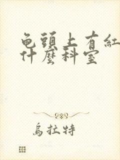 龟头上有红斑挂什么科室