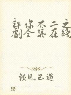 许你不二之臣短剧全集在线观看