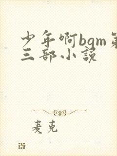 少年啊bgm第三部小说