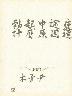 勃起中途疲软是什么原因造成得封面