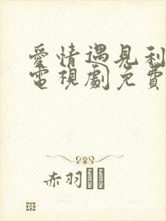 爱情遇见利先生电视剧免费观看