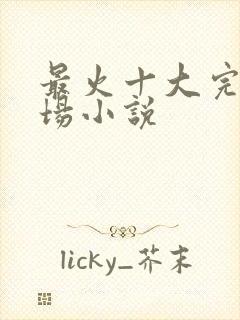 最火十大完结官场小说