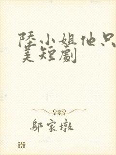 陆小姐他只想独美短剧