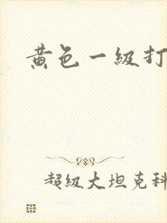黄色一级打炮片