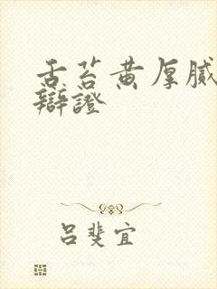 舌苔黄厚腻中医辩证