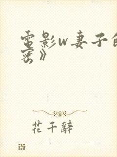 电影w妻子的秘密》封面