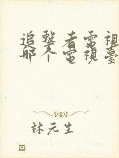 追击者电视剧在哪个电视台播放