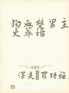 狗血双男主追妻火葬场封面