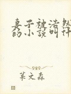 妻子被浩然开发的小说叫什么